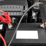 Jenis-Jenis Aki dan Kegunaannya